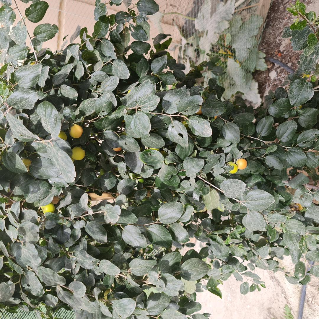 ملاحظة - 2023-02-13