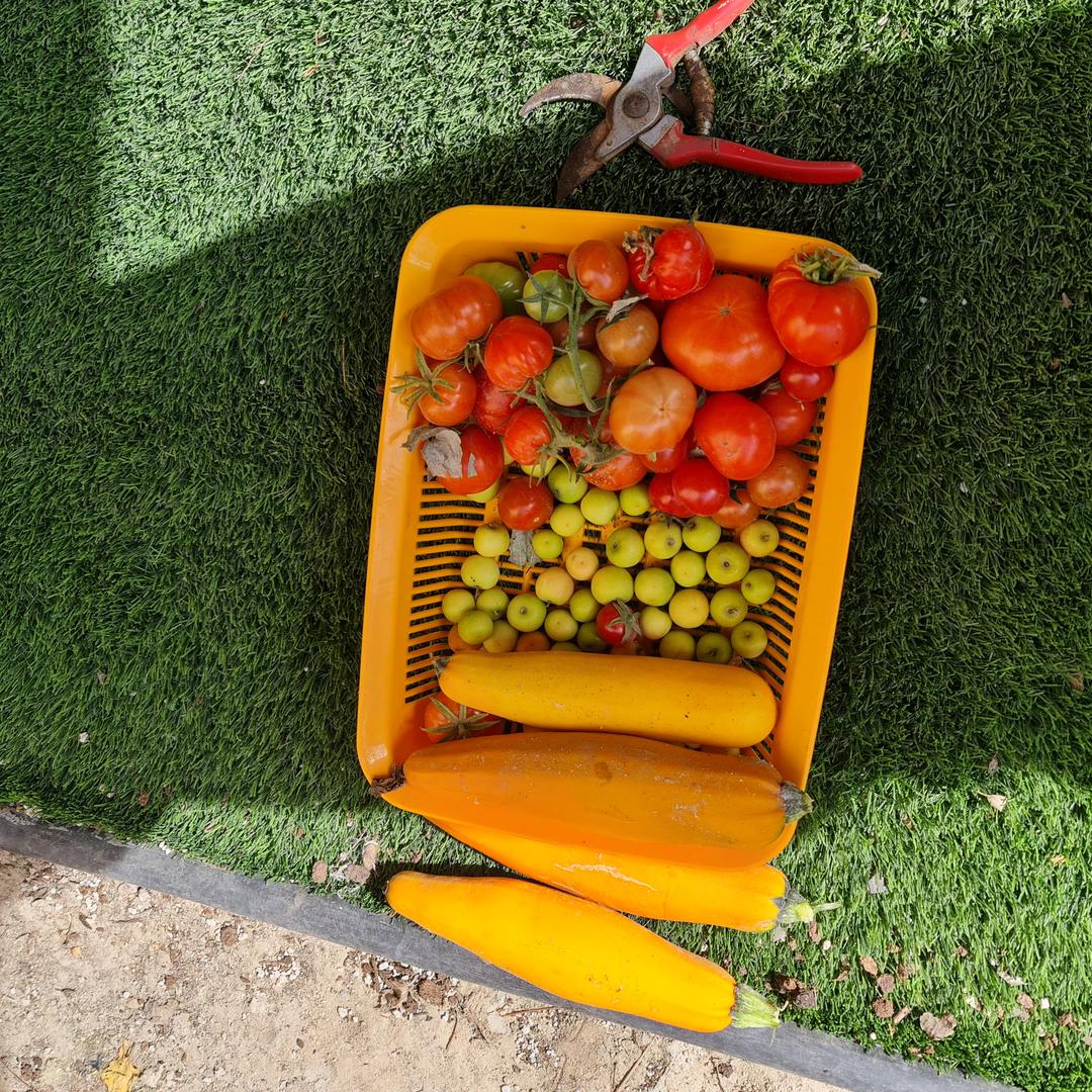ملاحظة