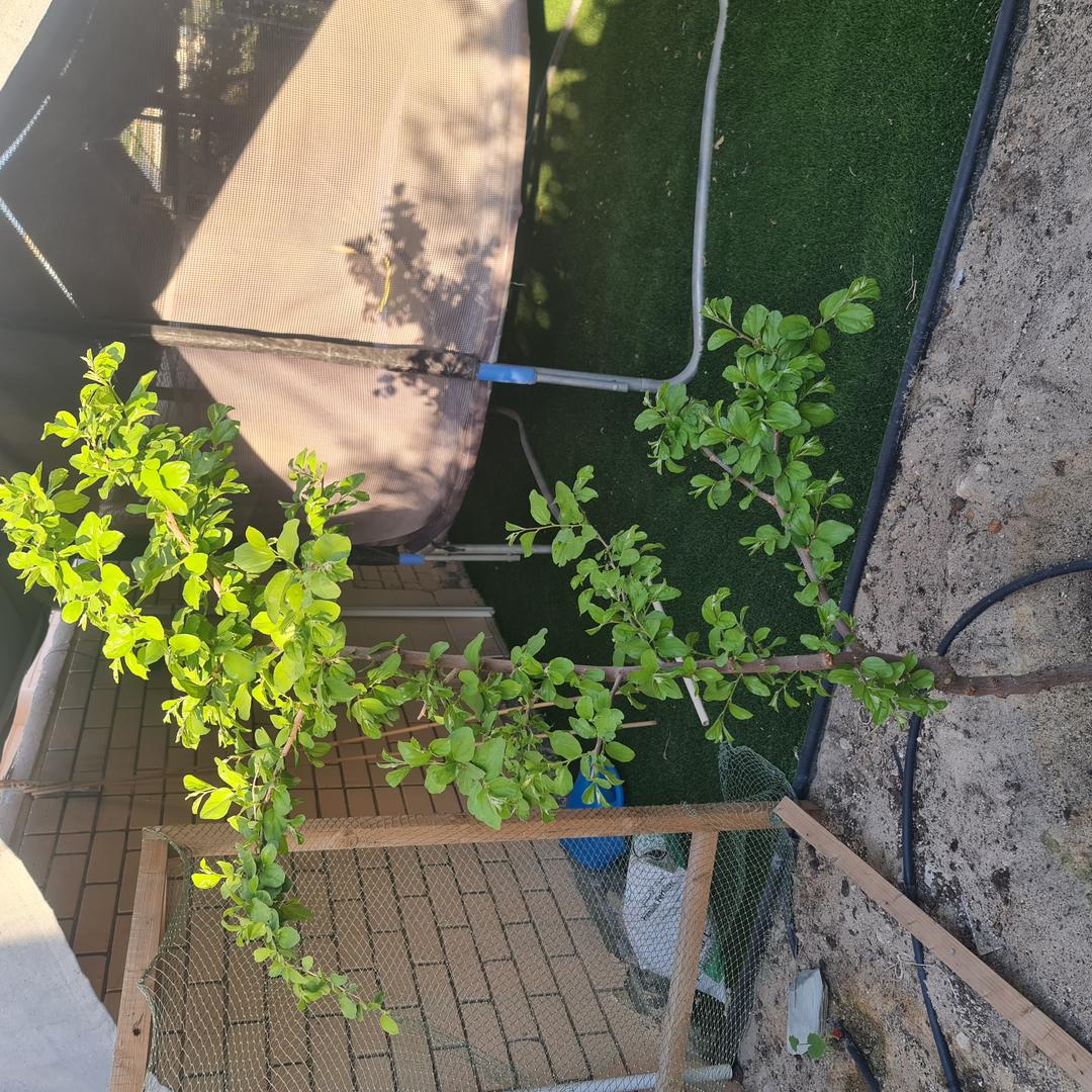 ملاحظة - 2023-04-20