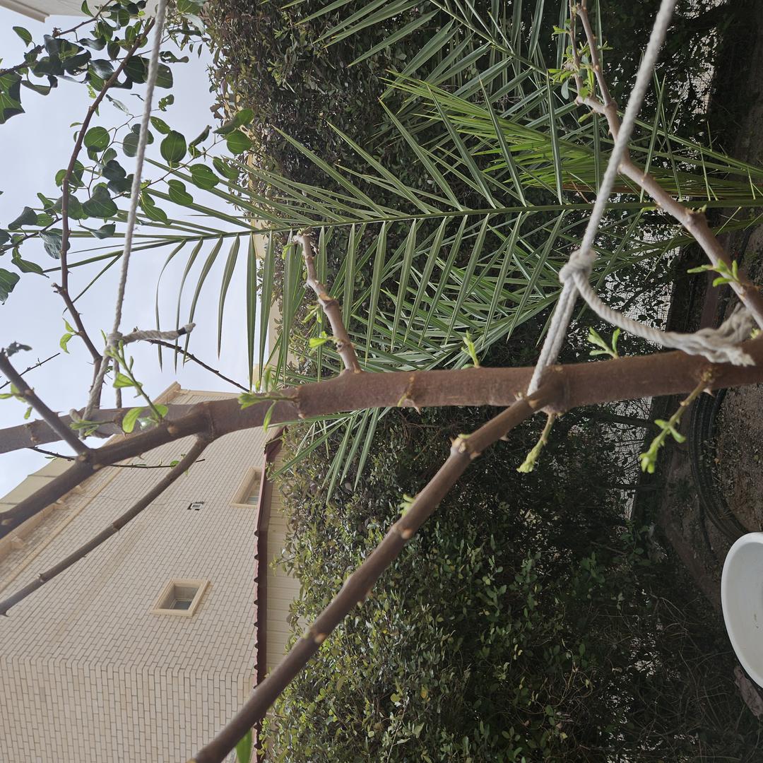 ملاحظة - 2024-03-30