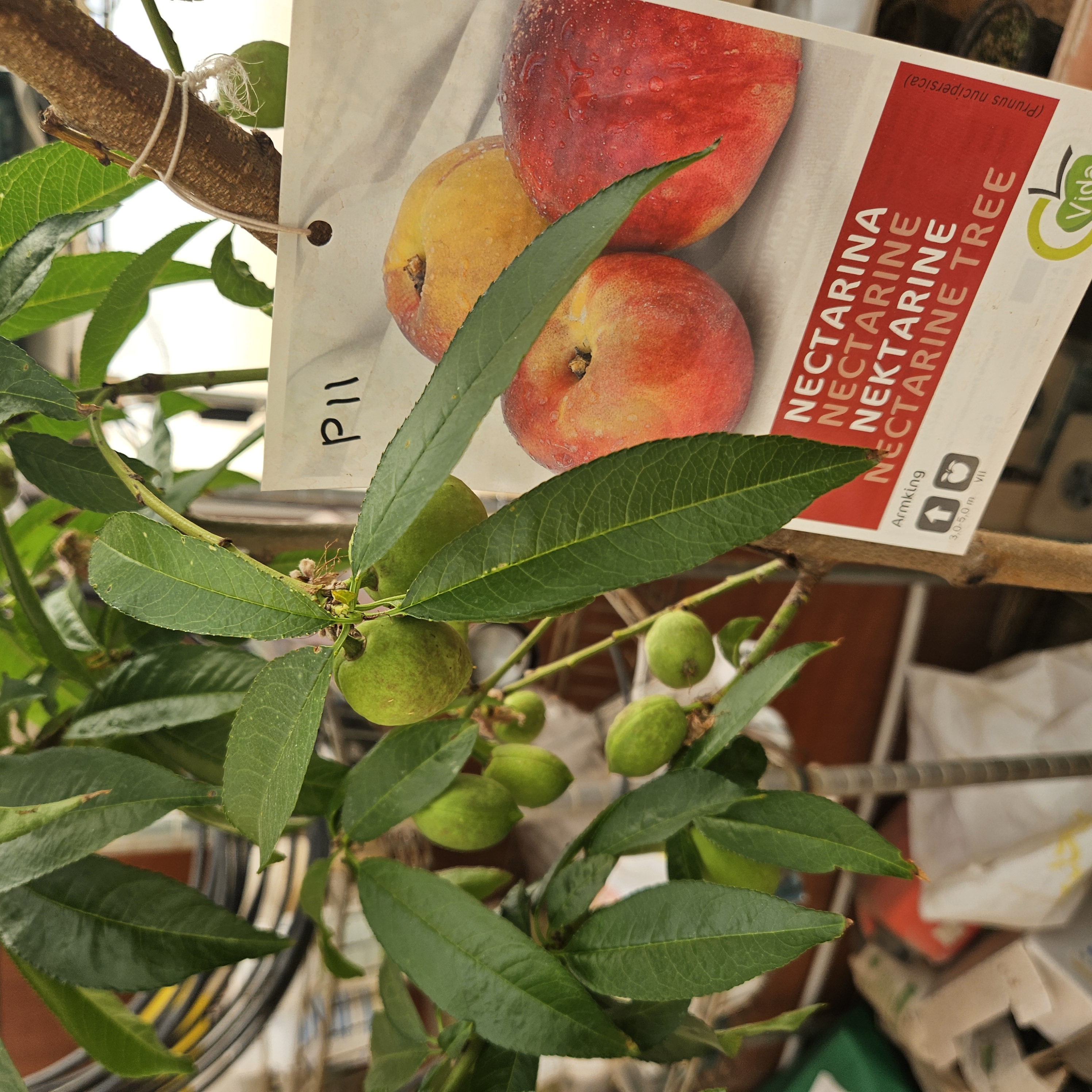ملاحظة - 2025-02-08