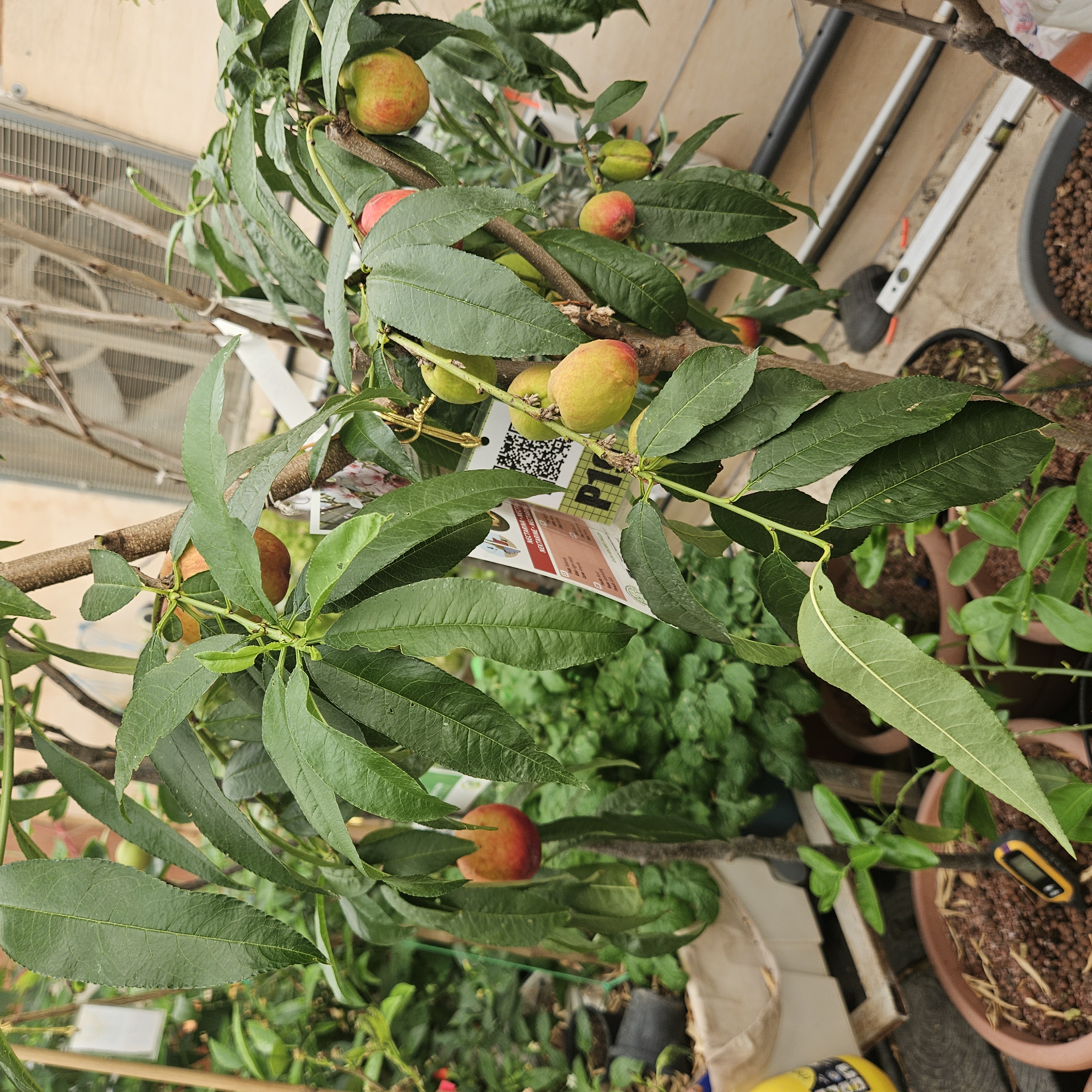 ملاحظة - 2025-03-31