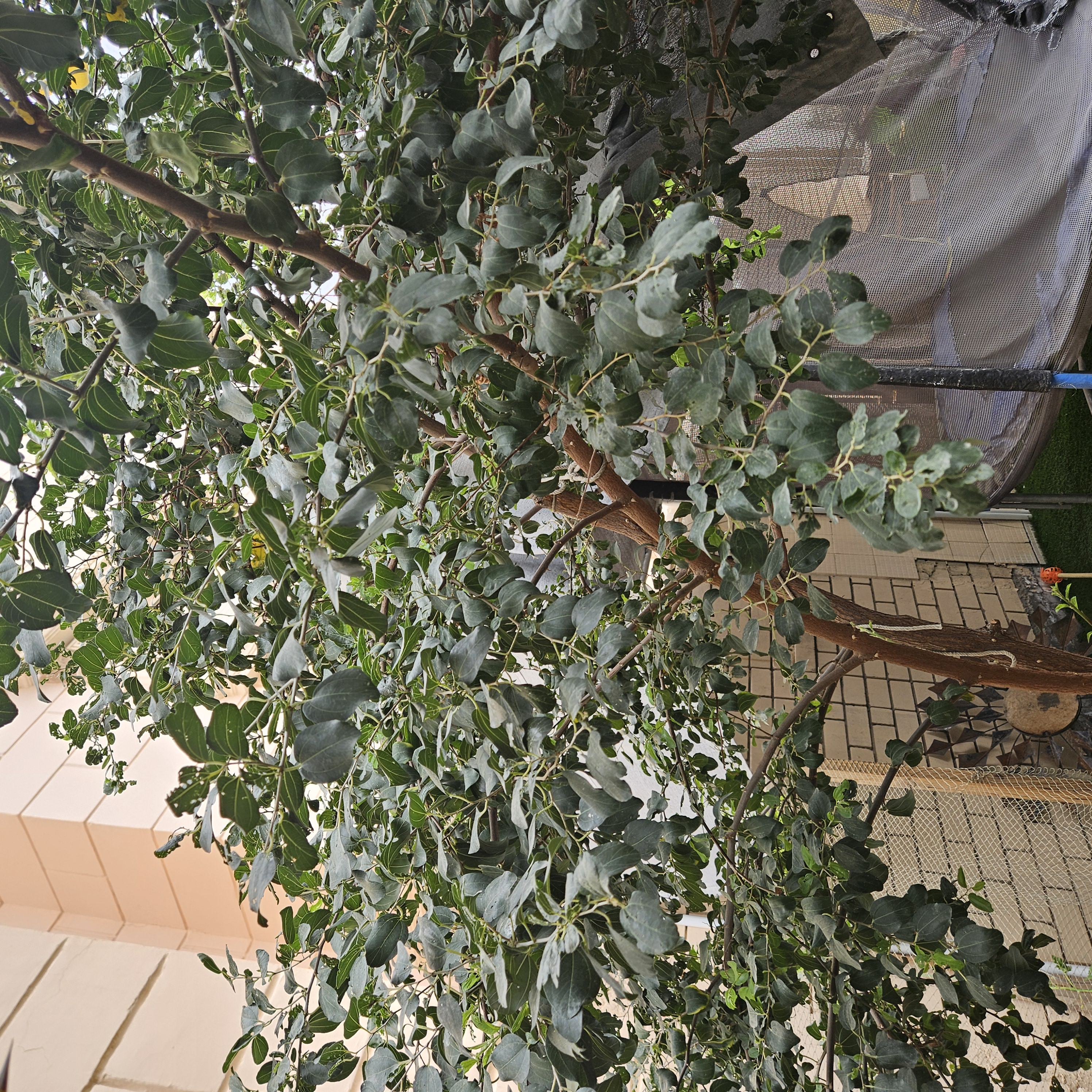 ملاحظة - 2025-04-05