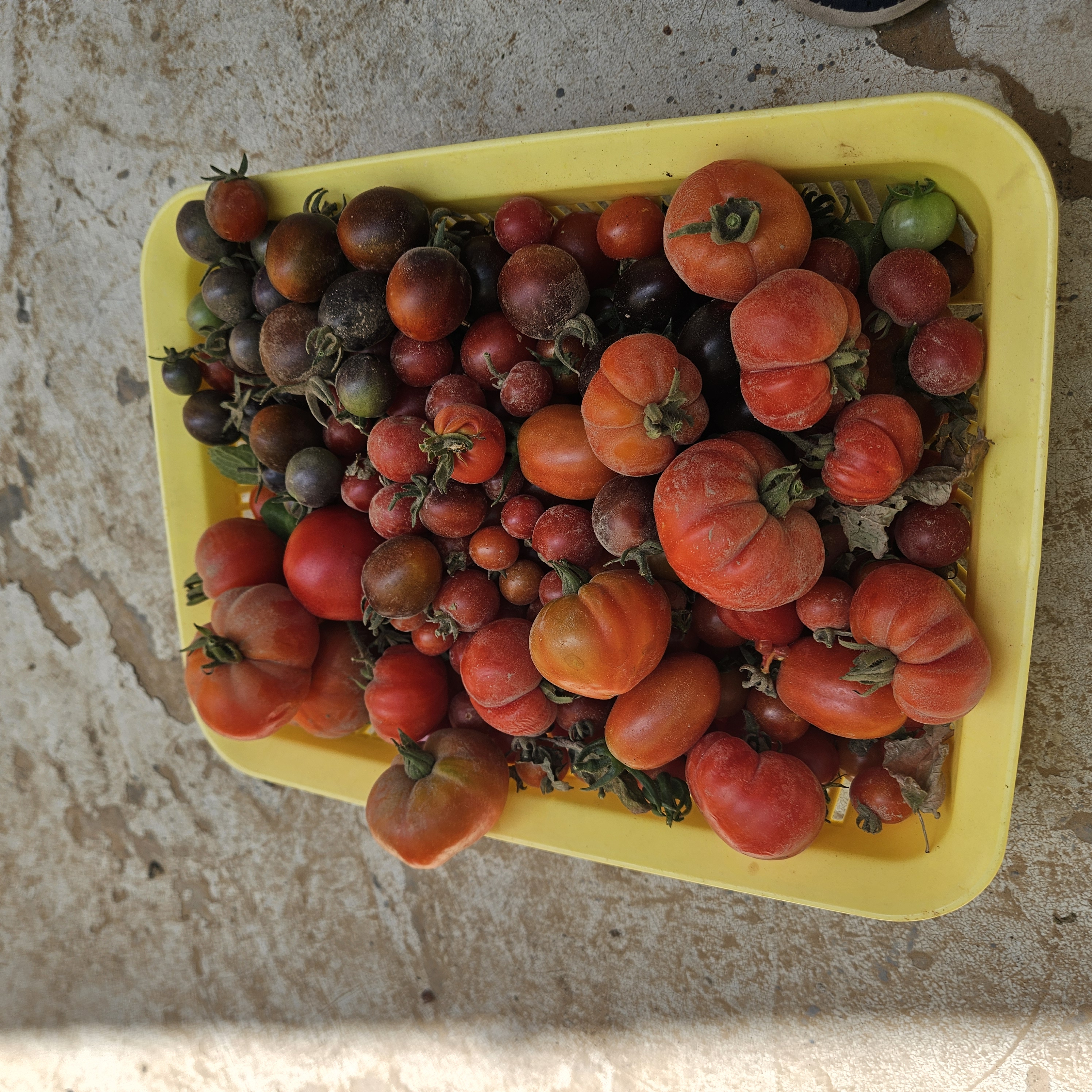 ملاحظة