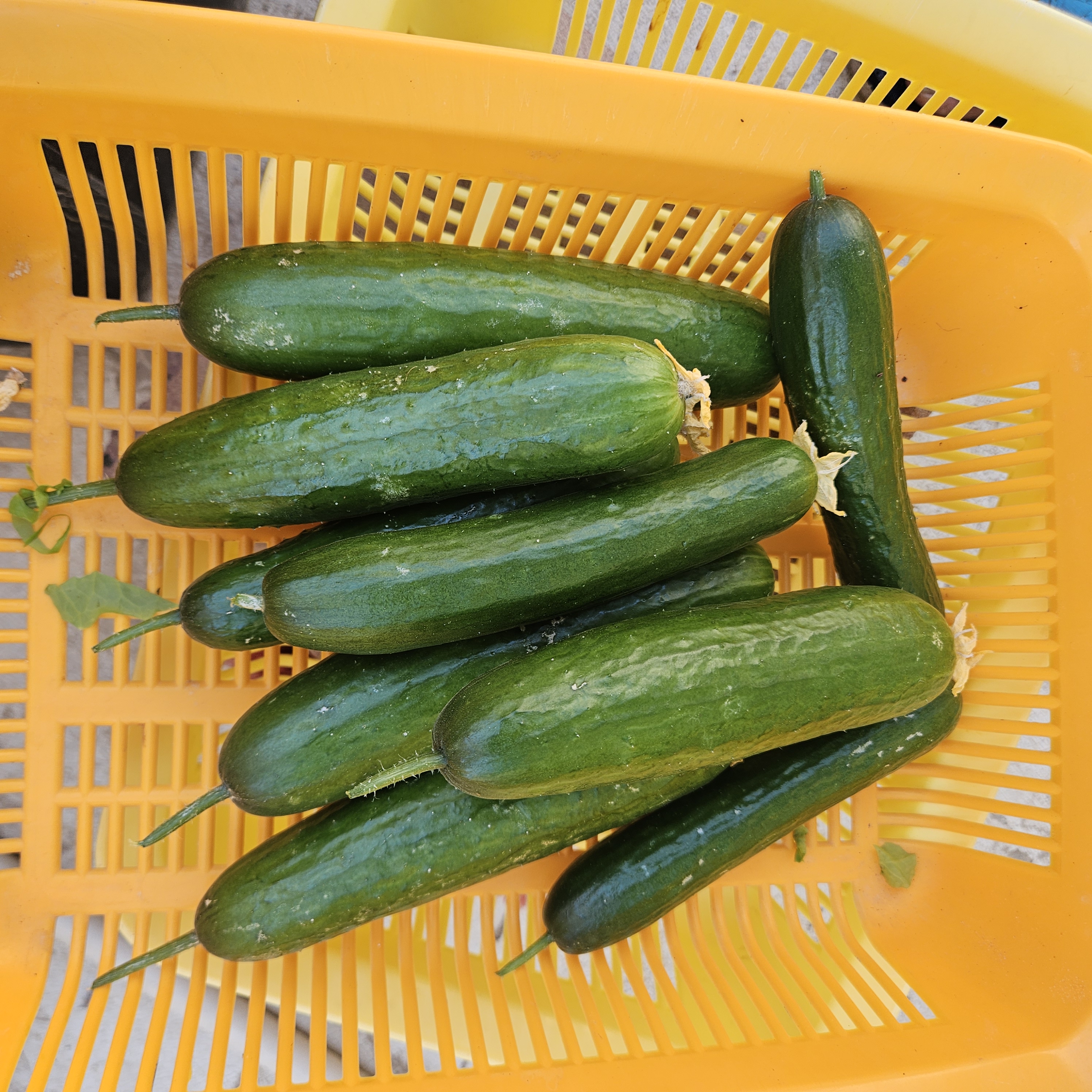 ملاحظة