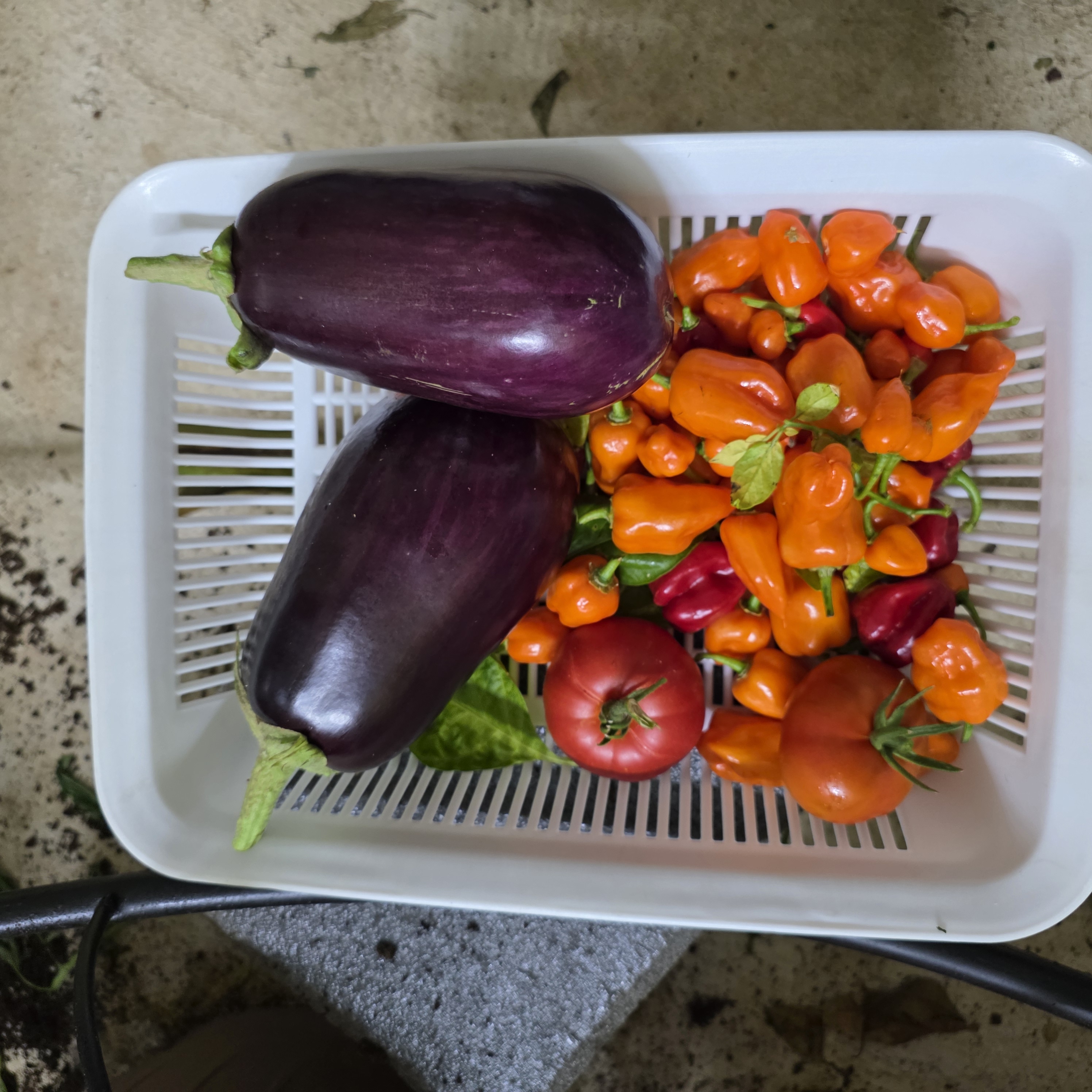 ملاحظة