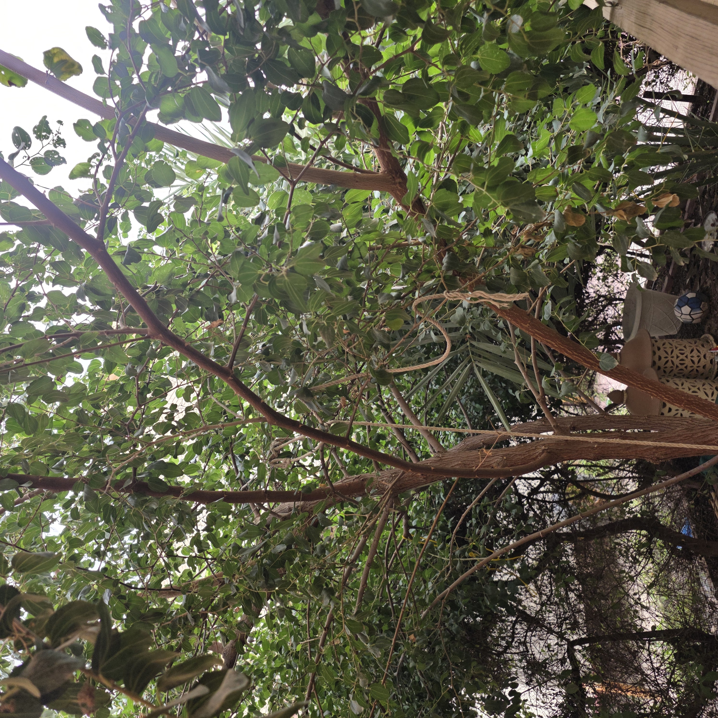 ملاحظة - 2026-04-03