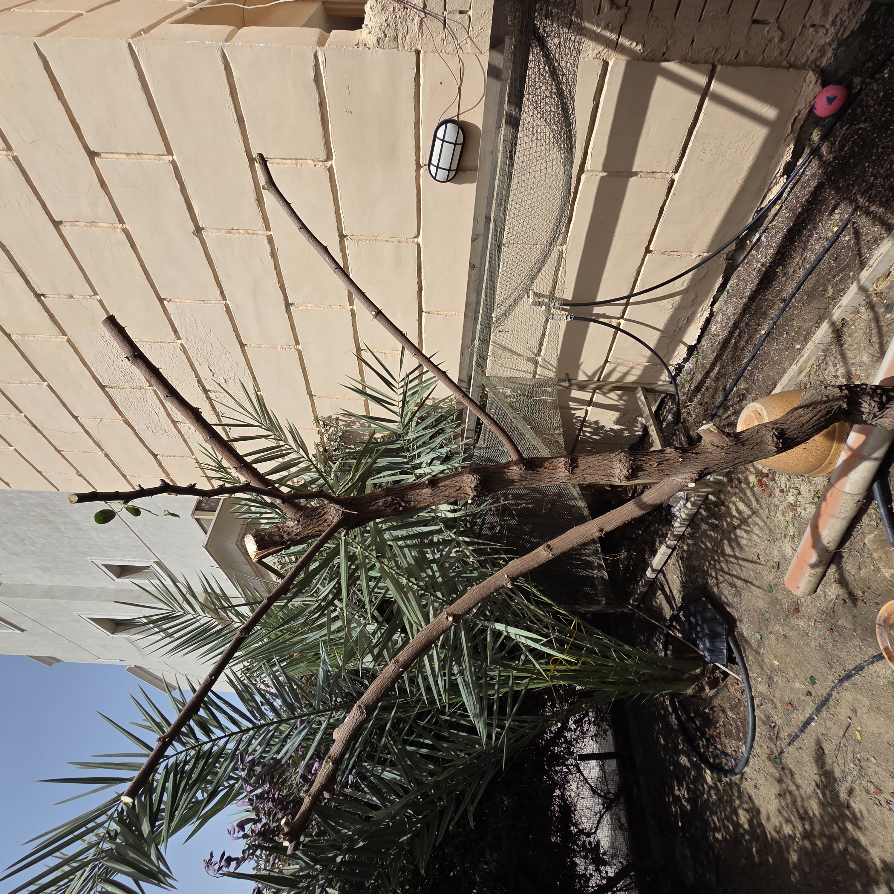 ملاحظة - 2026-04-06