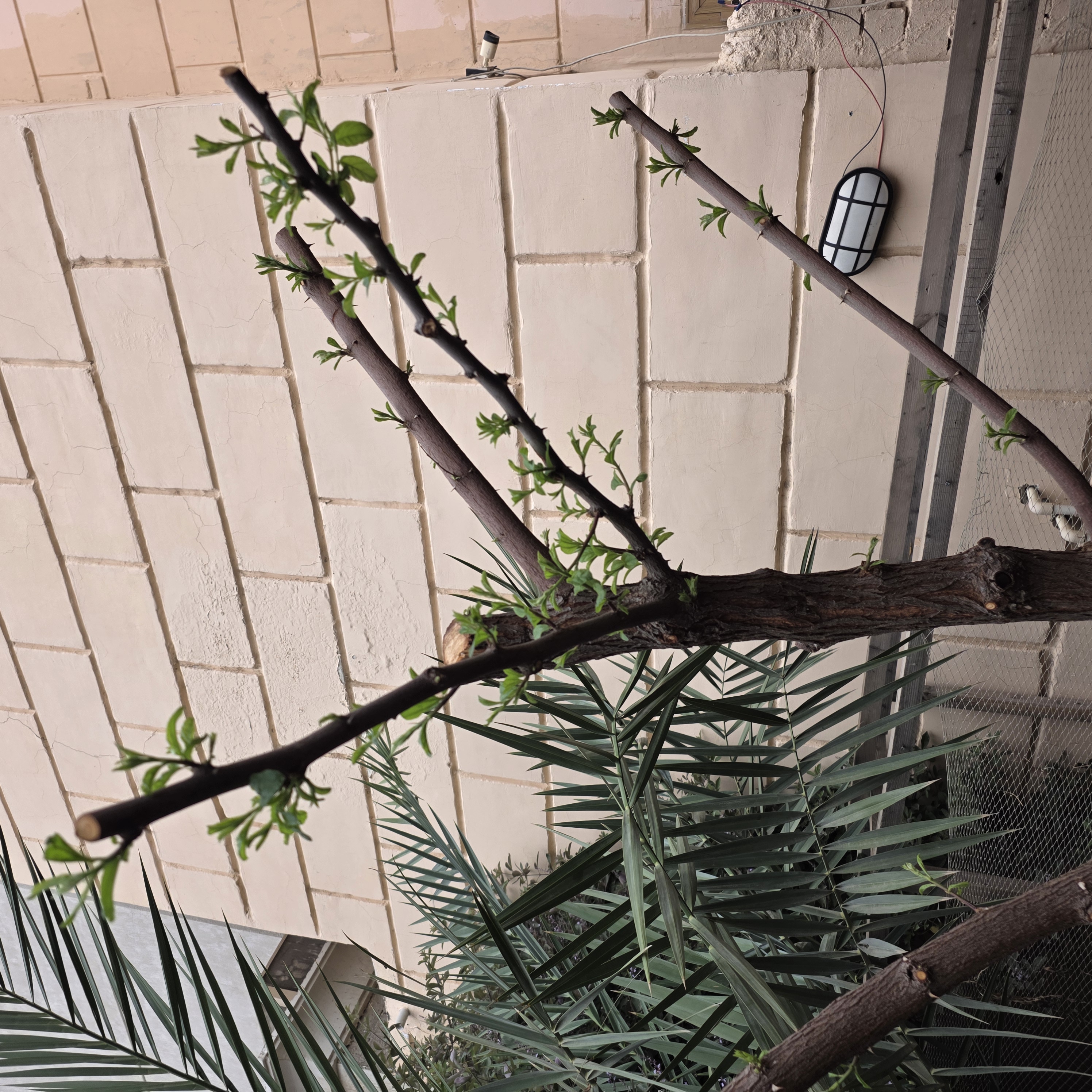 ملاحظة - 2026-04-21
