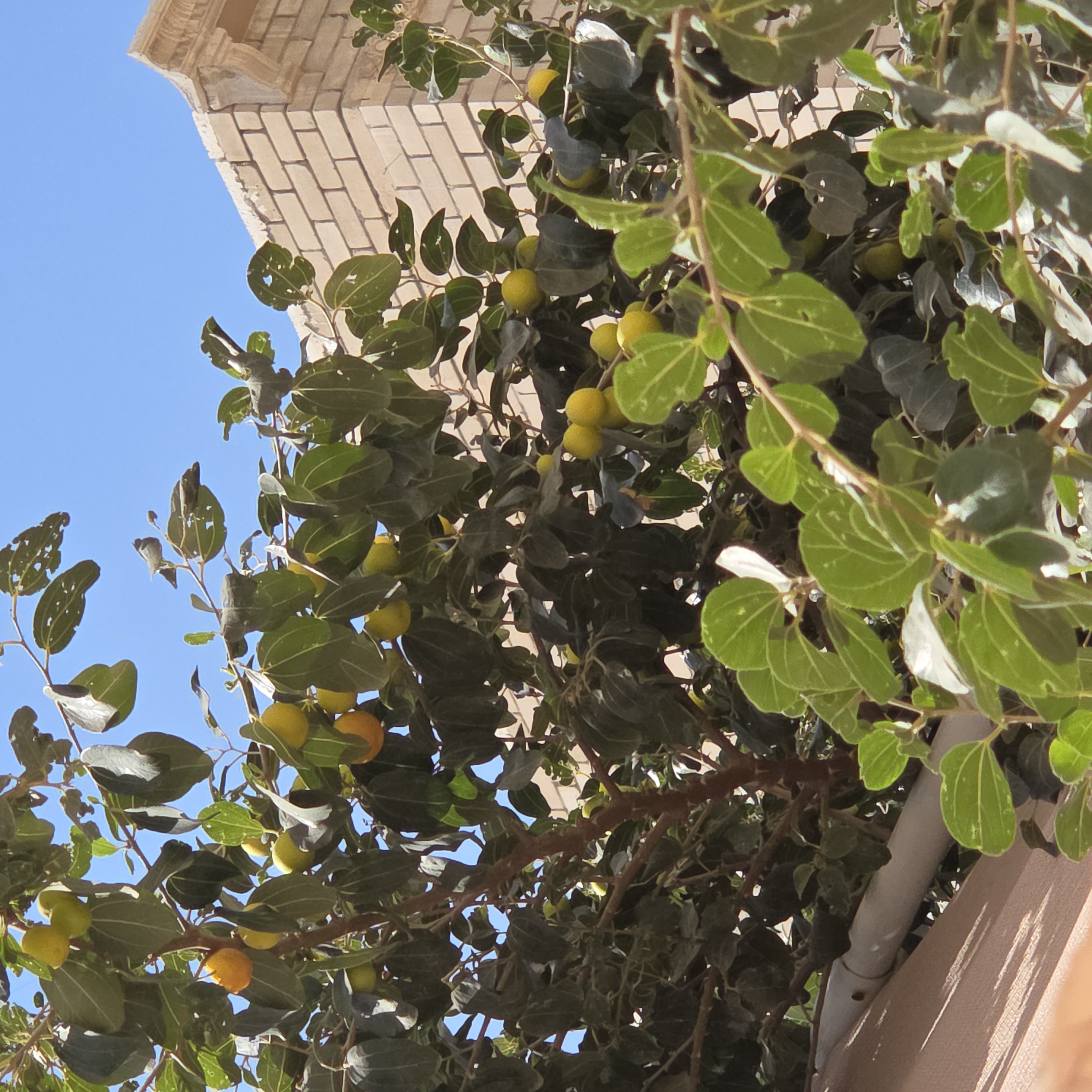 ملاحظة - 2026-02-20
