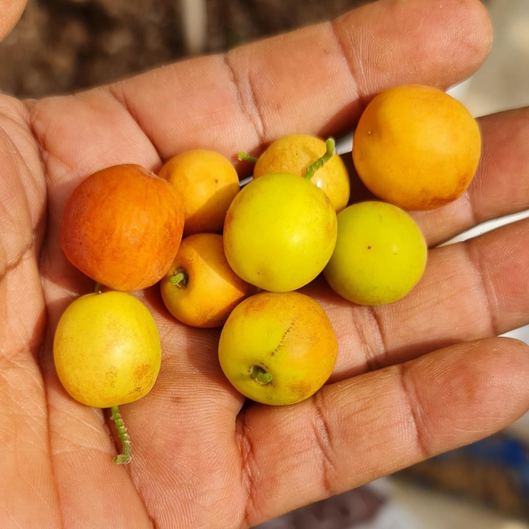ملاحظة