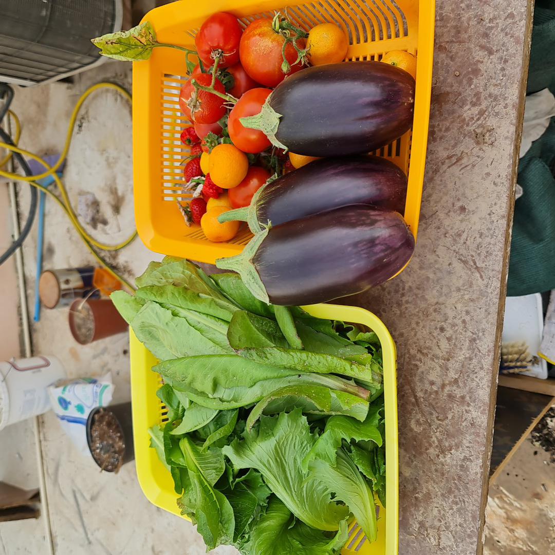 ملاحظة