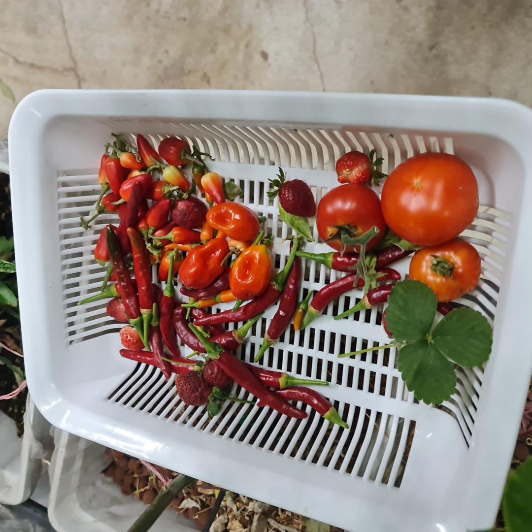 ملاحظة
