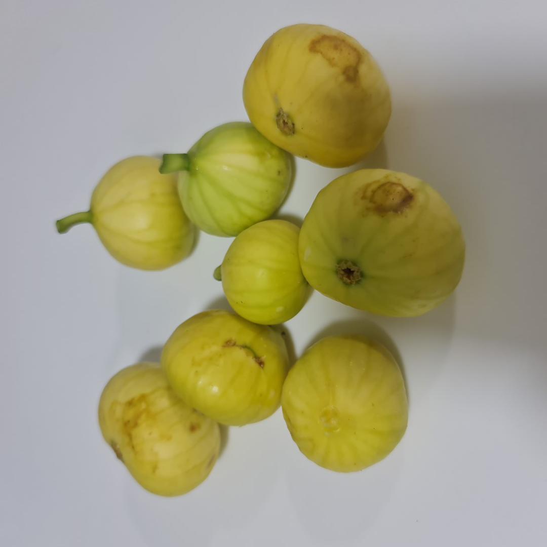 ملاحظة