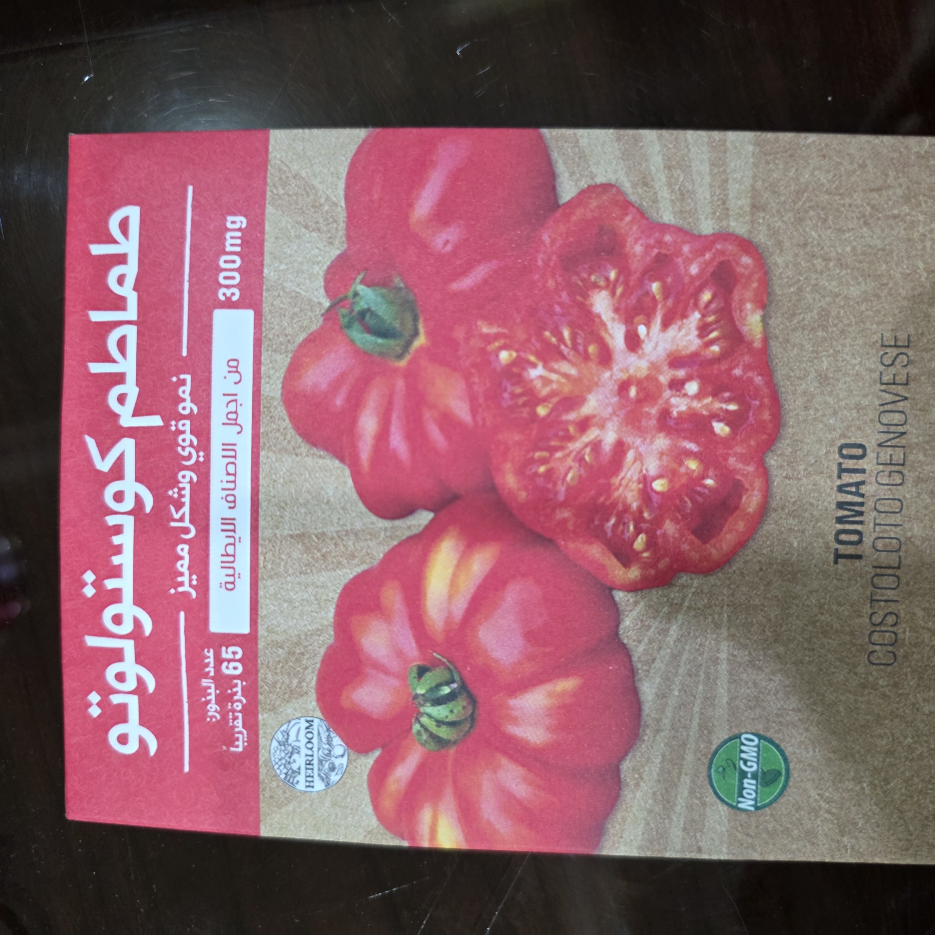 كوستولوتو