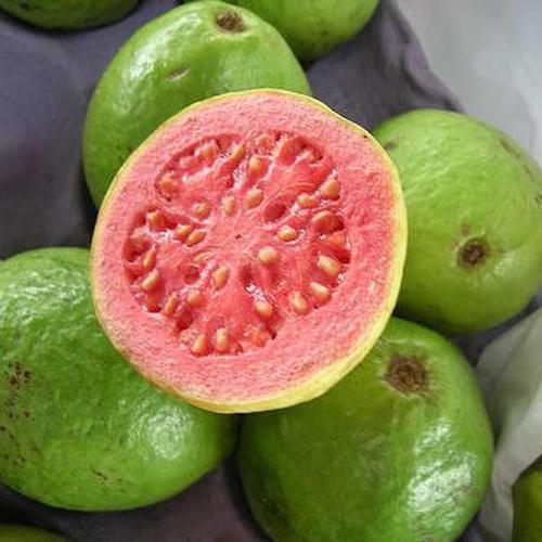 جوافة تايلندية
